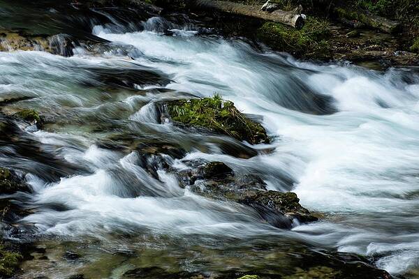 Landmark Photograph - Whitewater In Vintgar Gorge by Robert Grac