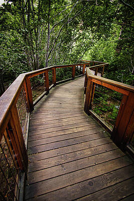Nature Photograph - Winding To Eagle Falls by American Landscapes