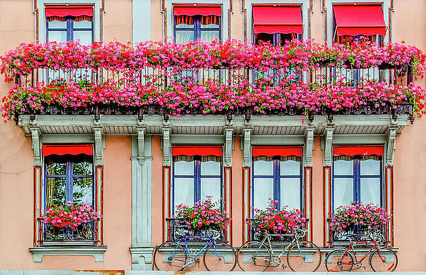 Vibrant Wall Art featuring the photograph Windows Of Troyes, France by Marcy Wielfaert