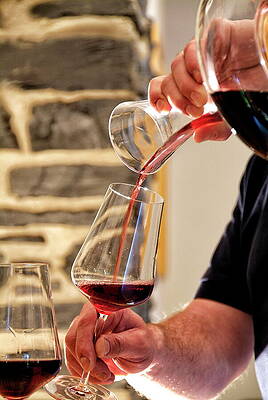 Wine Wall Art featuring the digital art Winegrower Pours Red Wine Into Wine by Hans-peter Merten