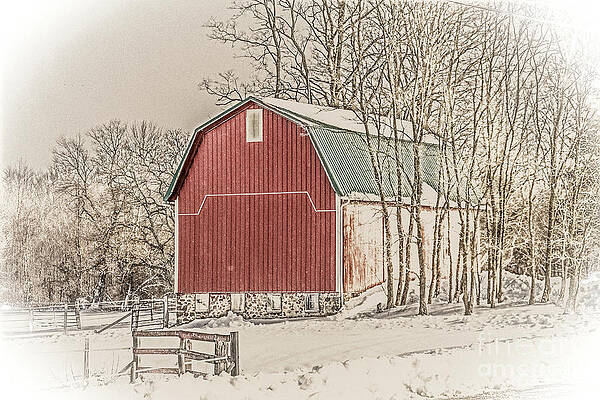 Winter Photograph - Winter Barn by William Norton