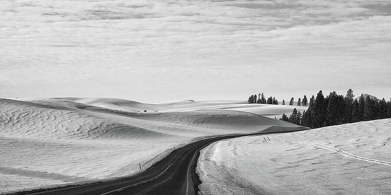 Winter Wall Art featuring the photograph Winter Country Road 2 BW by Tatiana Travelways