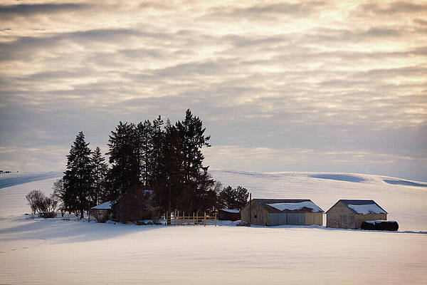 Winter Wall Art featuring the photograph Winter Farm At Golden Hour by Tatiana Travelways