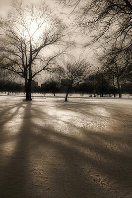 Wall Art featuring the photograph Winter In The City by Owen Weber
