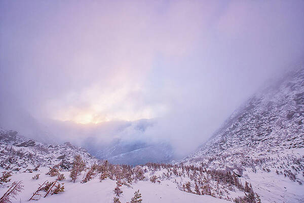 Wall Art featuring the photograph Winter Morning Light Tuckerman Ravine by Jeff Sinon