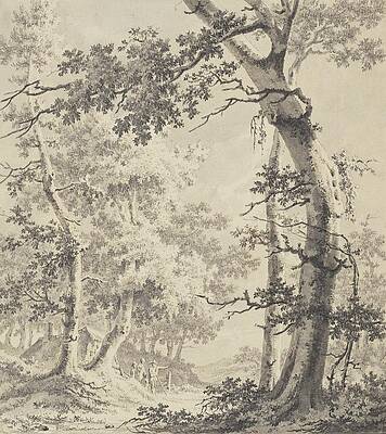 Monochrome Drawing - Wooded Landscape by Paulus Van Liender