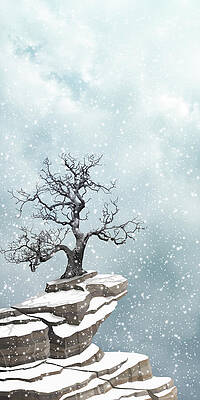 Lonely Tree on Snowy Cliff Wall Art