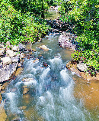 Green Wall Art featuring the photograph WV Stream by Jonny D