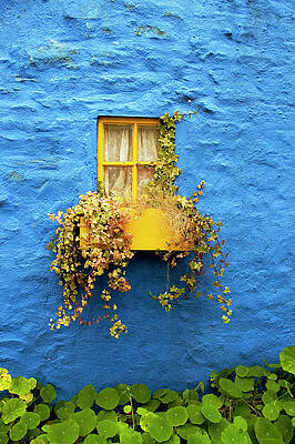 Vibrant Yellow Window With Vines Wall Art