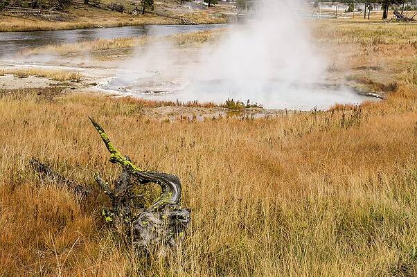 National Parks Wall Art featuring the digital art Yellowstone National Park, Wy by Jacana Stock