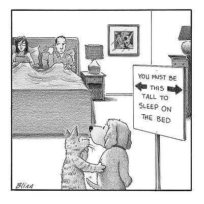 Humorous Bedroom Sign with Pets Drawing