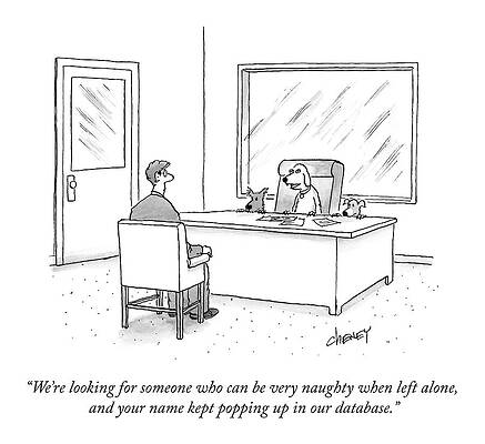 Humorous Job Interview with a Dog Drawing