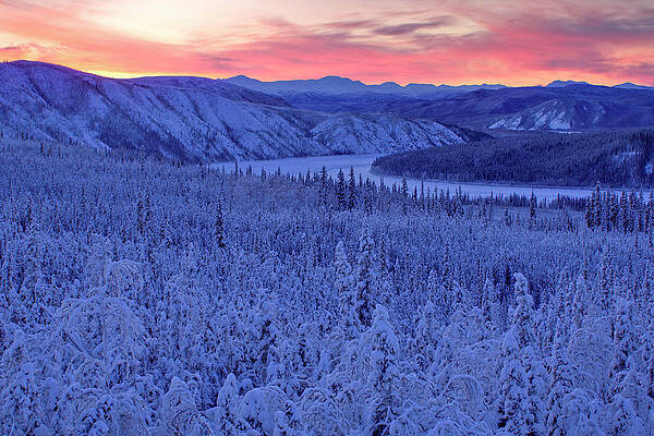 U S Wall Art featuring the digital art Yukon River At Dusk, Alaska by Bernd Rommelt