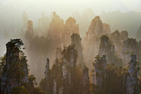 Impressive Wall Art featuring the digital art Zhangjiajie National Forest Park by Bruno Morandi