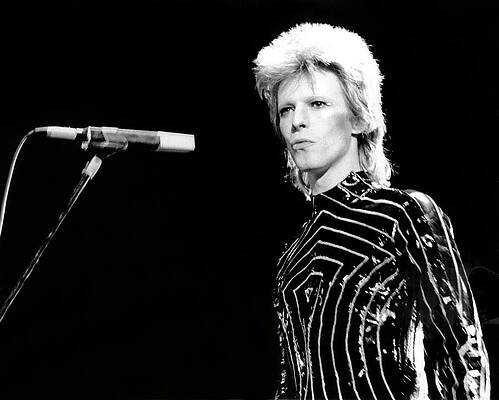 David Bowie Ziggy Stardust Performance Wall Art