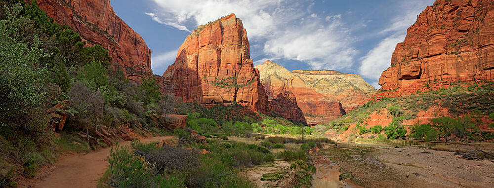 Majestic Red Rock Canyon Landscape Wall Art