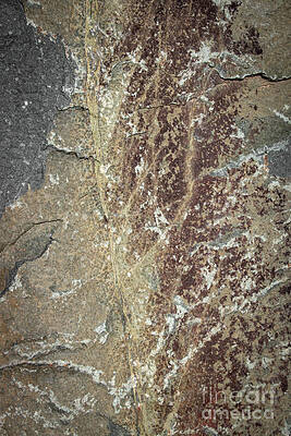 Nature Wall Art featuring the photograph 0006-2 Etched In Stone by Mark Triplett