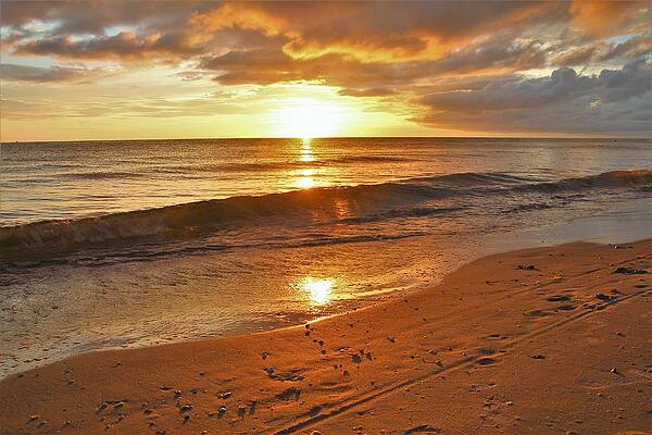 Wall Art featuring the photograph 0117 by Donn Ingemie