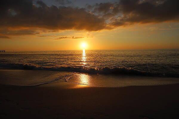 Wall Art featuring the photograph 0234 by Donn Ingemie