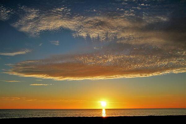 Wall Art featuring the photograph 0369 by Donn Ingemie