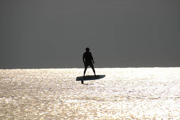 Wall Art featuring the photograph 0378 #1 by Donn Ingemie