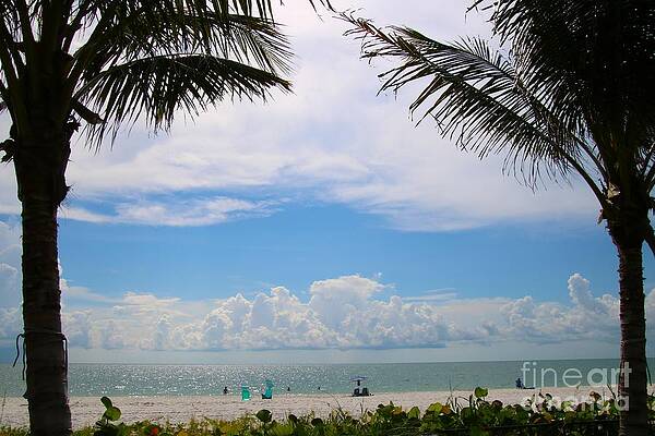 Wall Art featuring the photograph 9418 #1 by Donn Ingemie