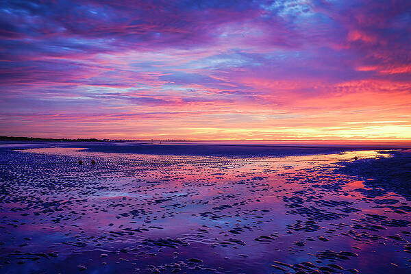 Wall Art featuring the photograph The Sky Speaks by Penny Polakoff