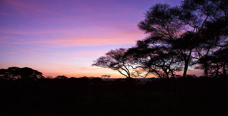 Wall Art featuring the photograph African Sunrise #1 by Alberto Audisio