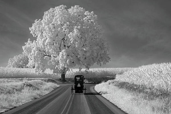 Pennsylvania Photograph - Amish Country Lancaster PA #2 by Susan Candelario