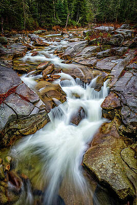 Wall Art featuring the photograph Ammonoosuc Cascade #1 by Jeff Sinon