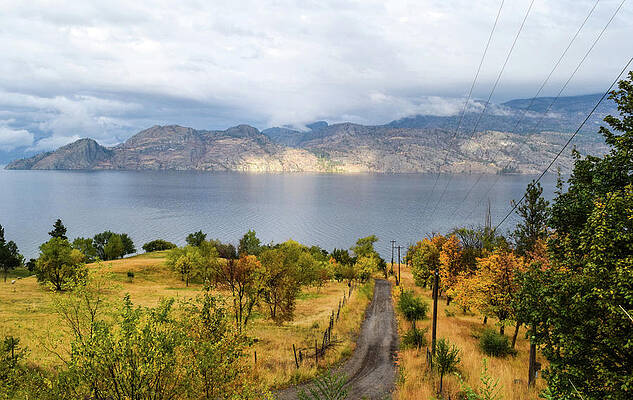 Farm Photograph - Autumn Farm Road To Okanagan Lake #2 by Tom Cochran