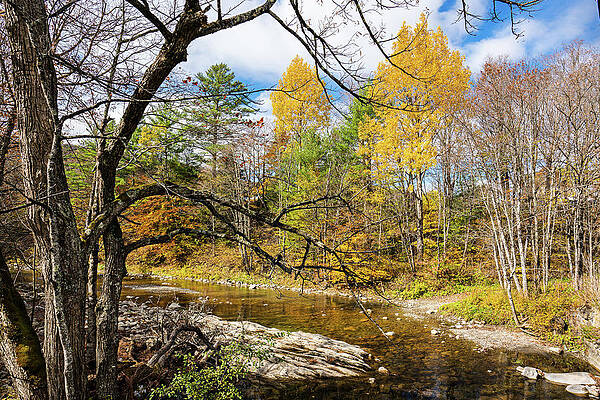 Vermont Photograph - Autumn In Vermont At Moxley Covered Bridge #1 by Ron Long Ltd Photography