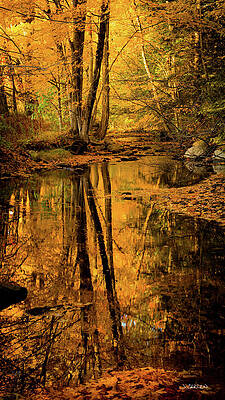 Sunset Photograph - Autumn Reflections #1 by Jim Carlen