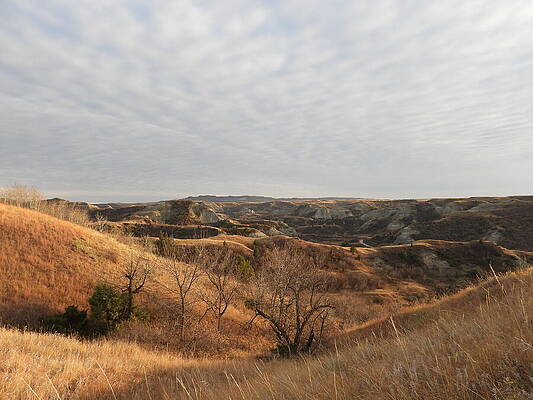 Serene Wall Art featuring the photograph Autumn View #1 by Amanda R Wright