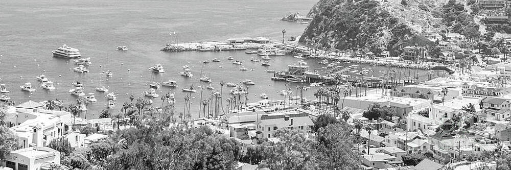 Wall Art featuring the photograph Avalon Catalina Island Black And White Panorama Photo #1 by Paul Velgos