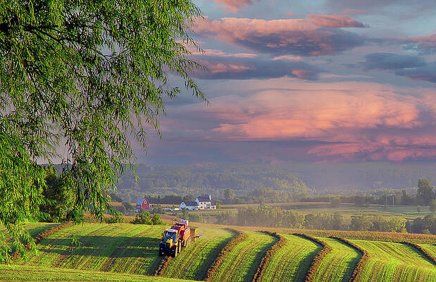 Baling Hay by Robert Allen Hill