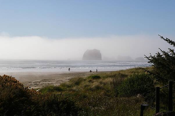 Sea Photograph - Bandon Coast #1 by Murray Croft