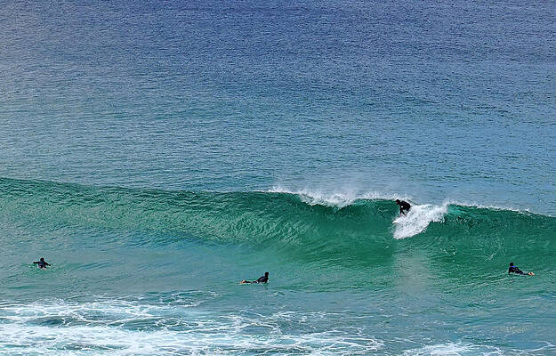 Beach Photograph - Bondi Beach Surfers #2 by Waterdancer