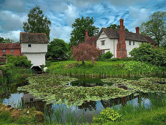 British Photograph - Brockhampton #1 by Seeables Visual Arts