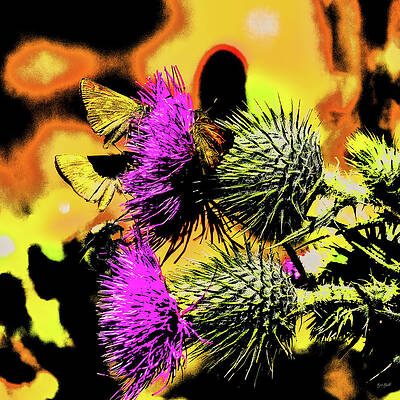 Butterfly Photograph - Butterfly Bumblebee And Thistle  #2 by Bruce Block