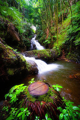 Wall Art featuring the photograph Cascade #1 by Louis Raphael