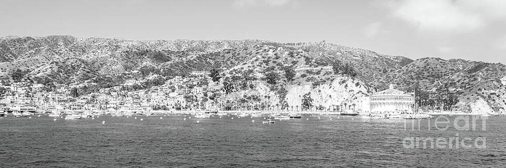 Wall Art featuring the photograph Catalina Island Black And White Panorama Photo #1 by Paul Velgos