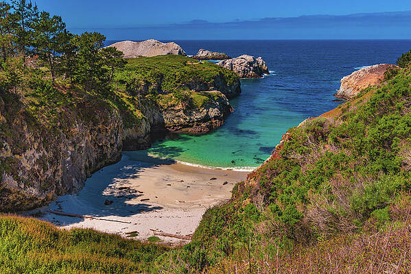 Landscape Photograph - China Cove Seals, Point Lobos, California #1 by Abbie Warnock