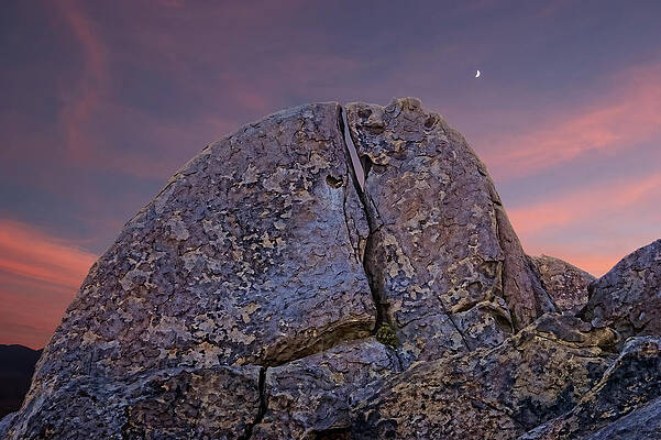 Sunset Photograph - Closeup by Barbara Siegel