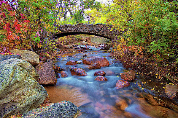 Colorado Fall Colors by Bob Falcone