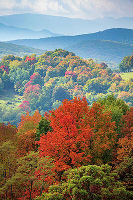 Fall Wall Art featuring the photograph Colorful Autumn Leaves In West Virginia #1 by Steven Heap