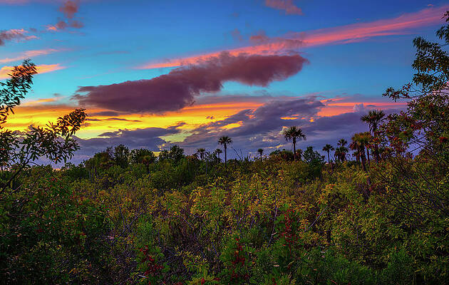 Sky Photograph - Colorful Sunset Over Everglades National Park In Florida #1 by Miroslav Liska