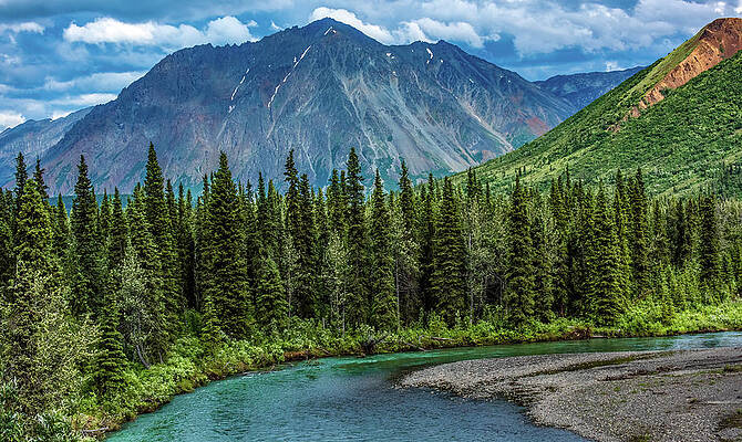 Natural Photograph - Colors Of Alaska #2 by Marcy Wielfaert
