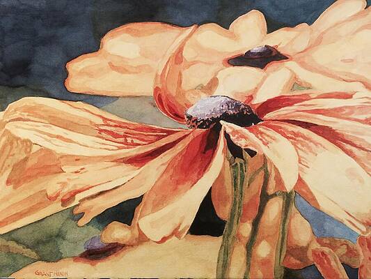 Nature Painting - Coneflower  #1 by Grant Nixon