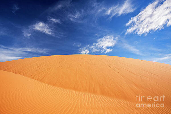 Landscape Photograph - Coral Pink Sand Dunes State Park, Kanab, Utah #1 by FeelingVegas Wall Art and Prints